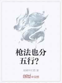 枪法也分五行？封面