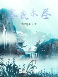 寒夜未尽封面