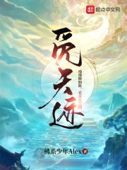 觅天迹封面