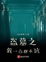 盗墓之我一点都不坑封面