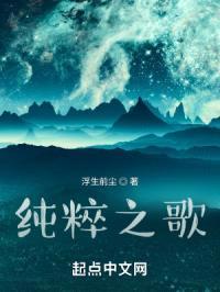 纯粹之歌封面