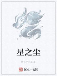 星之尘封面