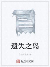 遗失之岛封面