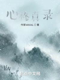 心修真录封面