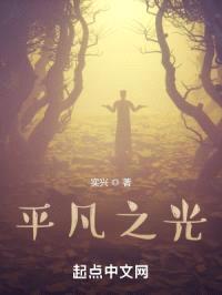 平凡之光封面