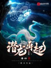 潜龙再起封面