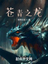 苍青之龙封面
