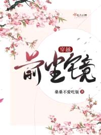 穿越：前尘镜封面