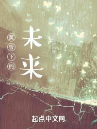 黄昏下的未来封面