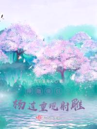 神雕侠侣之杨过重现射雕封面