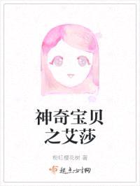 神奇宝贝之艾莎封面