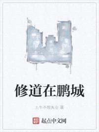 修道在鹏城封面