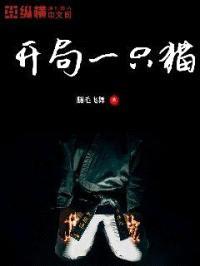 开局一只猫封面
