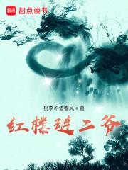 红楼琏二爷封面